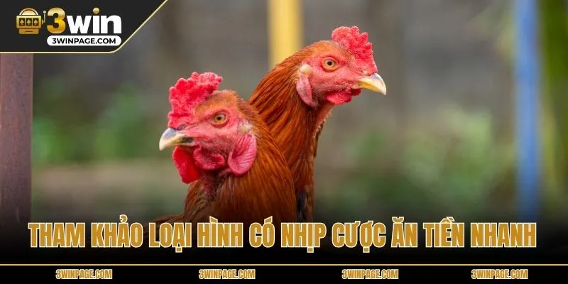 Tham khảo loại hình có nhịp cược ăn tiền nhanh